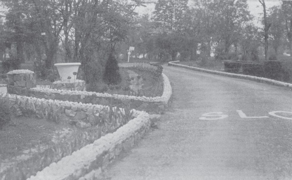 Mystery Picture Answer 2020-09-07
